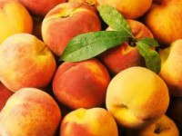 /album/eccofruta/melocoton-jpg/